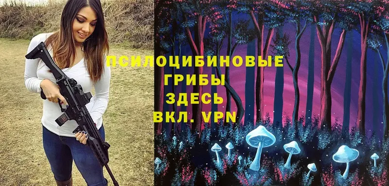 Псилоцибиновые грибы MAGIC MUSHROOMS  маркетплейс телеграм  Кудымкар 